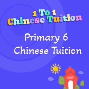 Primary 6 Chinese Tuition